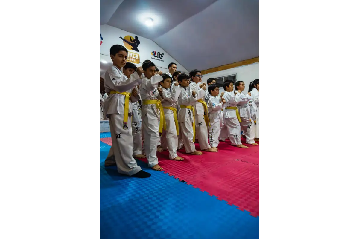 Ventas del Taekwon-Do sobre otros deportes