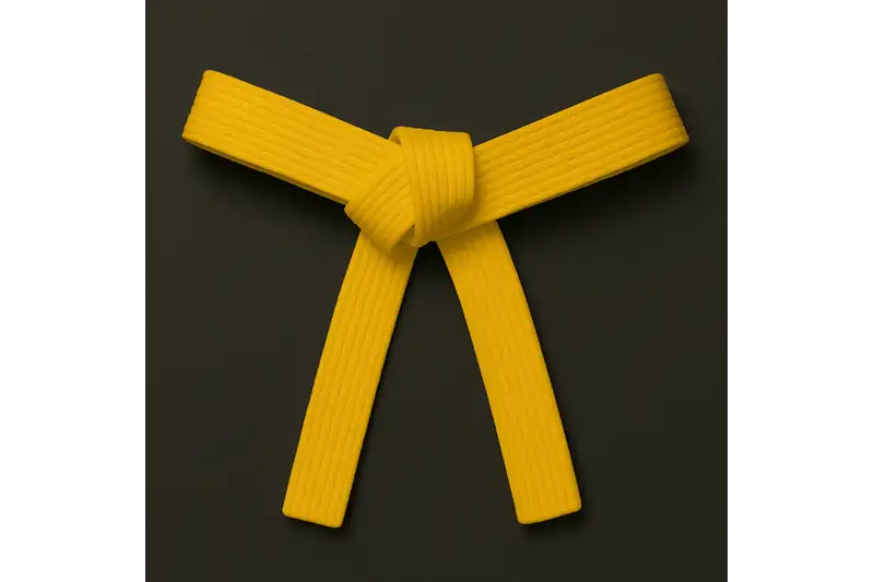 Cinturón Amarillo - Nivel actual