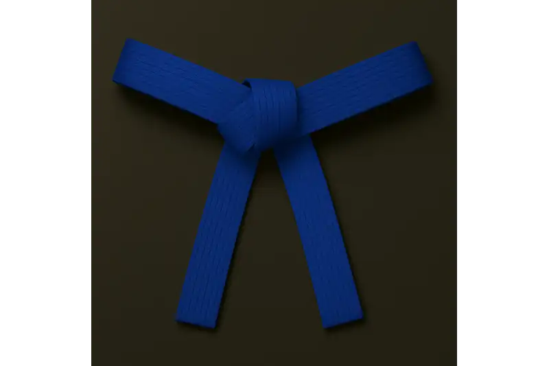 Cinturón Azul - Nivel actual