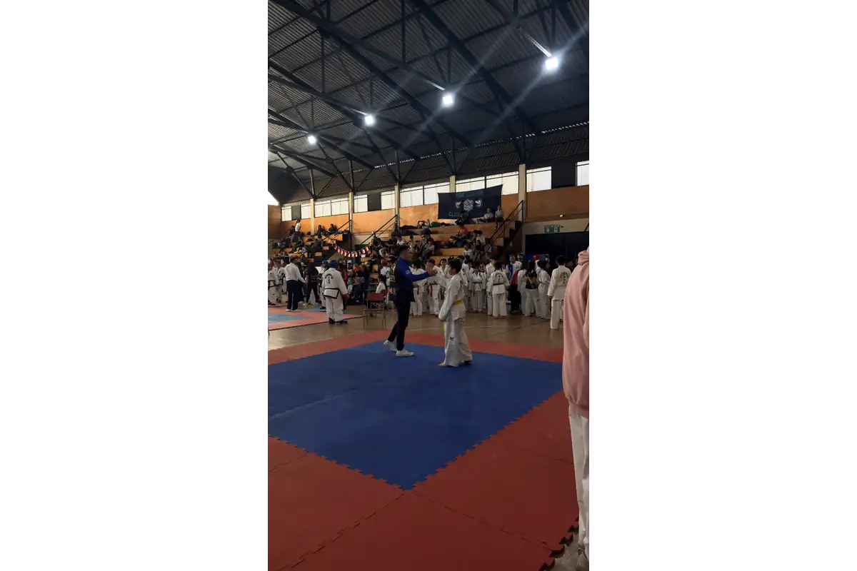 Nuestros competidores en acción