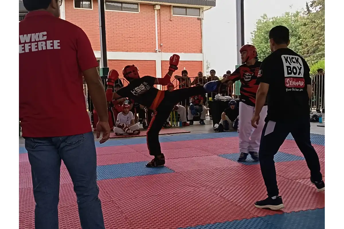 Equipo profesional y organización del torneo